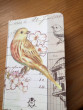 Zápisník ptáček