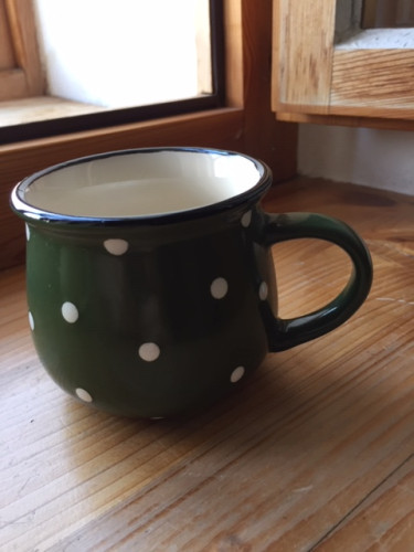 Hrneček puntík zelený
